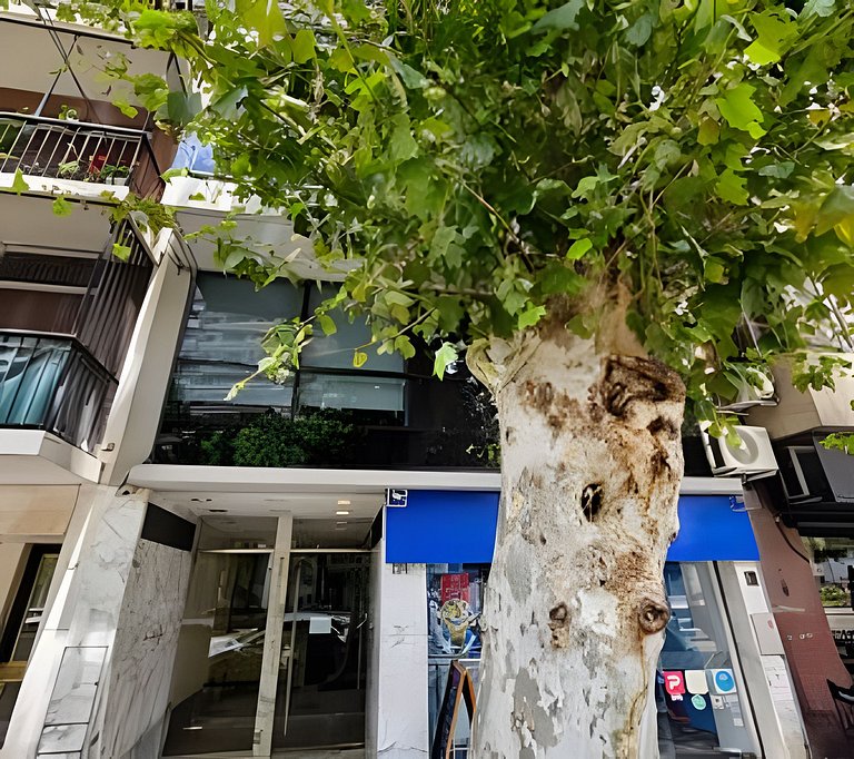 Moderno y amplio loft 50m2  en Recoleta